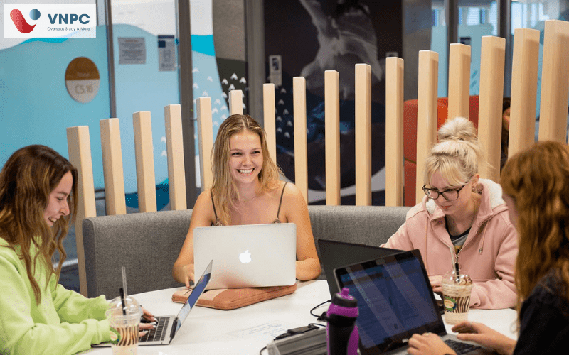 southern cross university